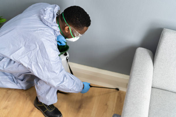 Best Pest Prevention Services  in Louise, TX